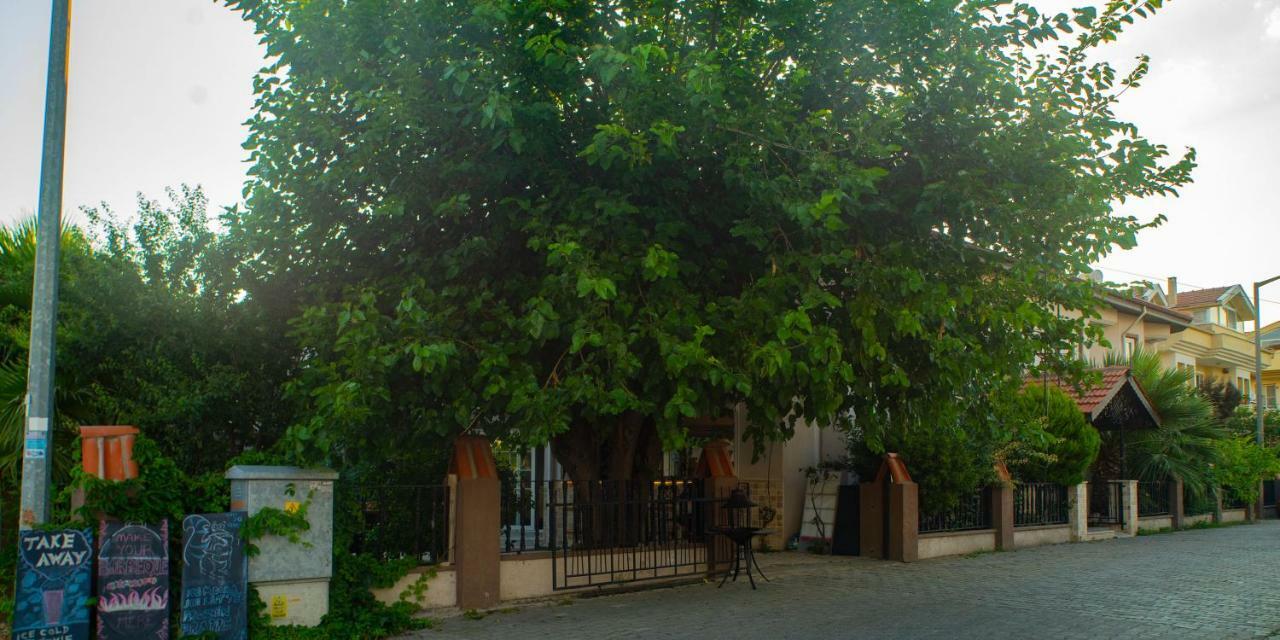 Eon Dalyan Boutique Hotel Bagian luar foto